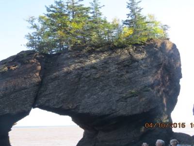 hopwell rock,nouveau-brunswick,canada