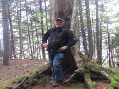 parc national de la baie de fundy,nouveau-brunswick,canada