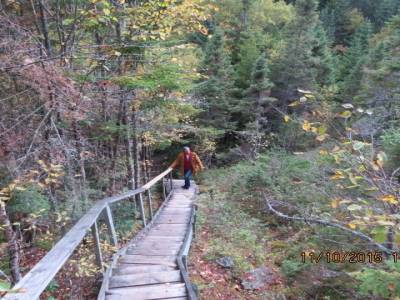 parc national de la baie de fundy,nouveau-brunswick,canada
