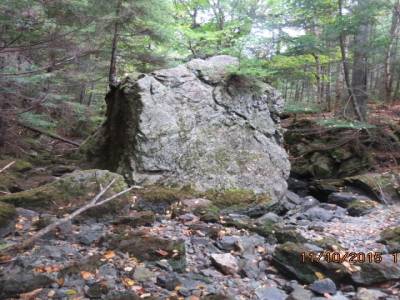 parc national de la baie de fundy,nouveau-brunswick,canada