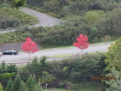 parc fundy trail,nouveau-brunswick,canada