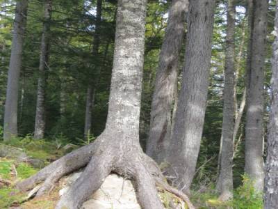 parc fundy trail,nouveau-brunswick,canada