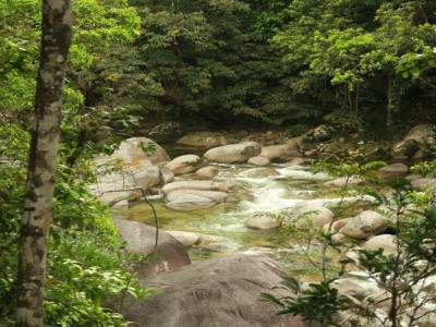 Mossman Gorge