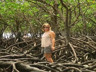 la mangrove... à marée basse