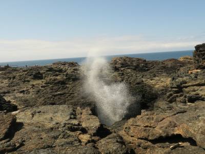 Un petit blowhole