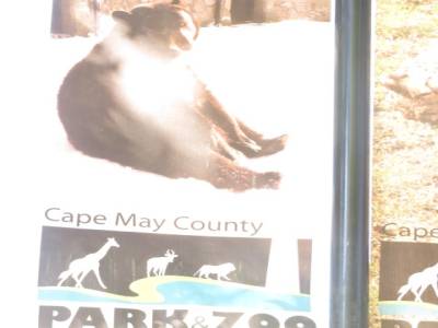 cap may ,new jersey,états-unis