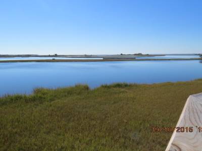 parc national assateague,maryland ,états-unis