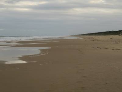 plage sans fin, vue sud