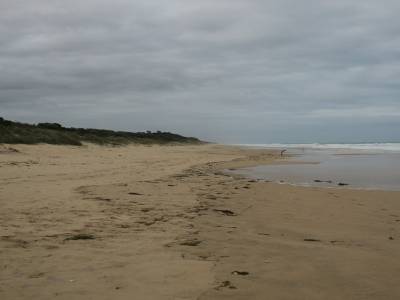 plage sans fin, vue nord