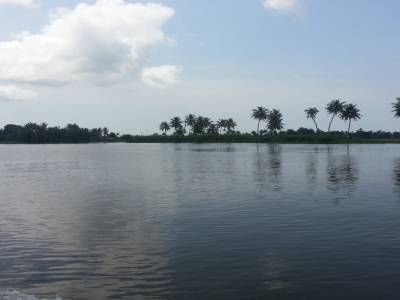 Backwater