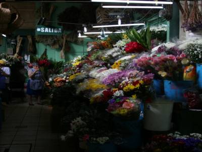 Un marchand de fleurs sur le marche de San Jose