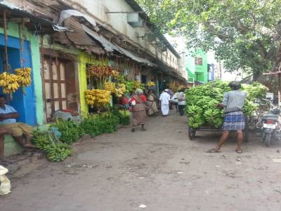 Marché aux bananes