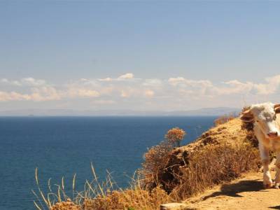 Las titicaca
