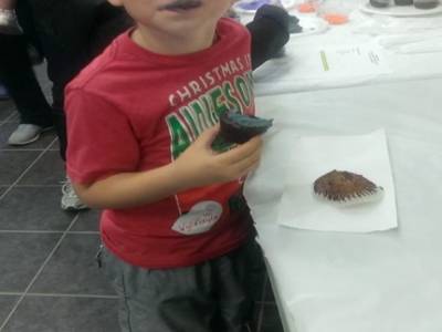 hmmm un cupcake