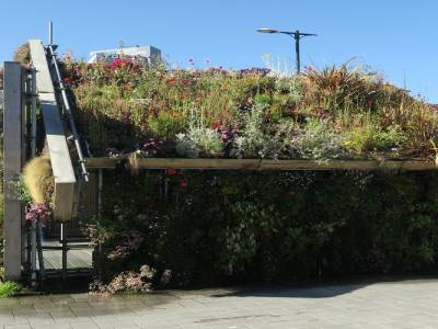 la nature dans la ville (100% bio)