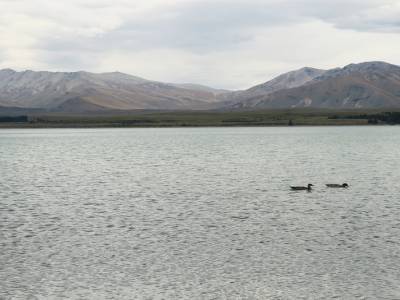 Lake Tekapo