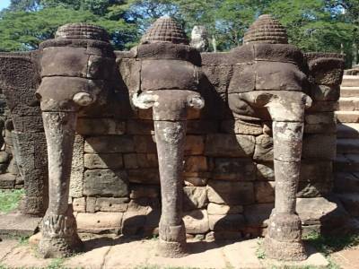 Terrasse des éléphants 2