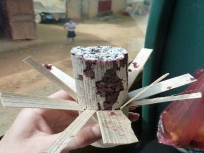 Du sticky rice en stick!