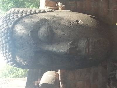 Tête de boudha