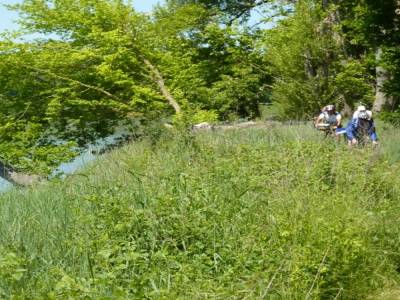 Entre Briare et Bonny sur Loire
