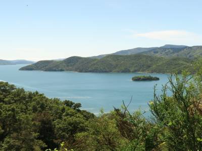 Petit tour dans les Marlbourough Sounds