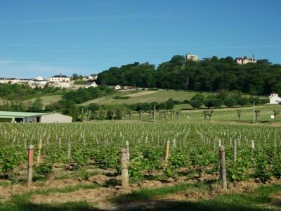 COTEAUX DE SANCERRE