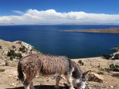 Au Bord du Lac Titicaca - Isla del Sol