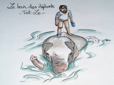 Le bain des éléphants