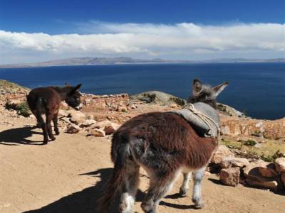 Au Bord du Lac Titicaca - Isla del Sol
