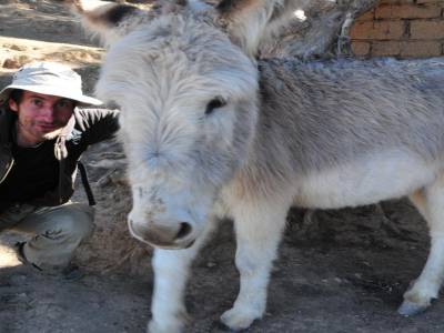Au Bord du Lac Titicaca - Isla del Sol