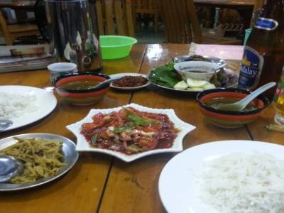 Repas birman