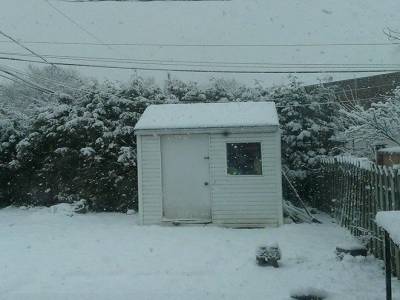 1ere grosse neige..........désespoir