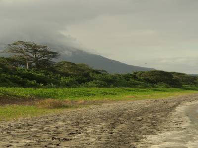 La plage aux millions de moustiques