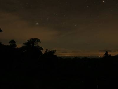 Ciel de jungle