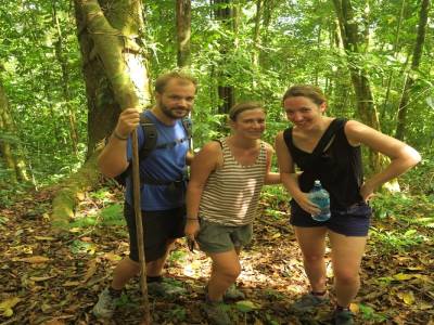 tout cela dans une forêt 100% humide