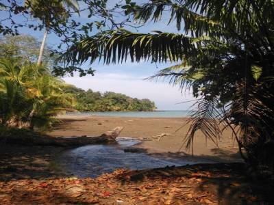 Welcome to paradise