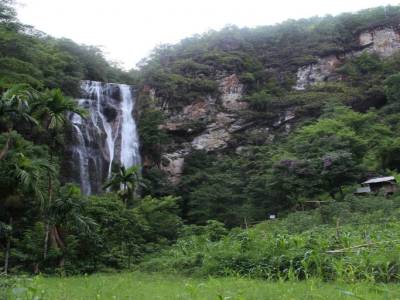 Cascade Cunca Rami