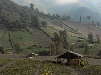 Cultures verticales
