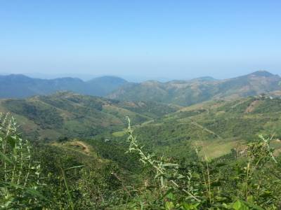 Viewpoint