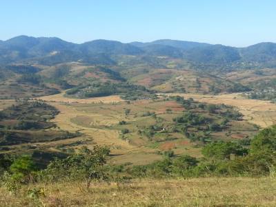 Paysage