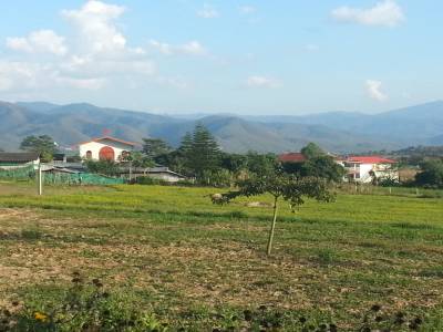 Paysage