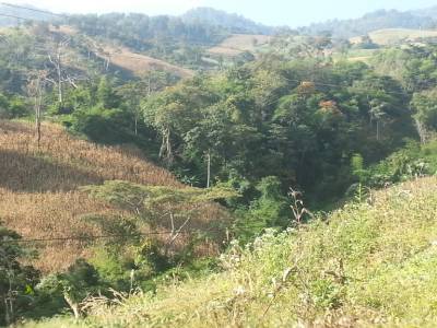 Paysage montagneux