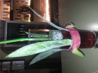Cocktail des iles