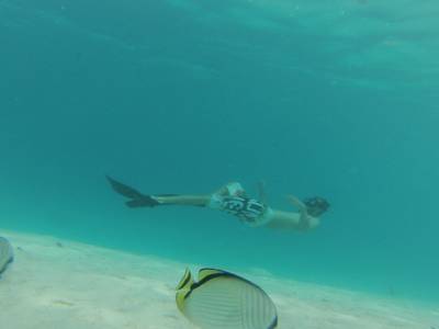 Théo le poisson