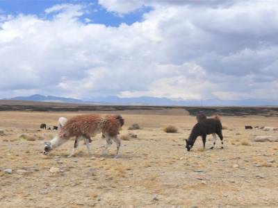 Mont Chacaltaya