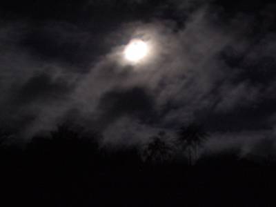 Promenade sous la lune