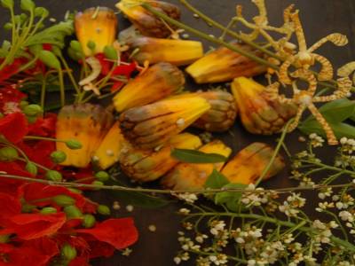 Fleurs pour les couronnes