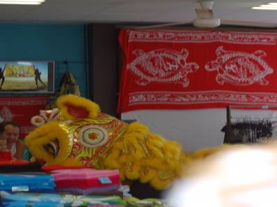 Visite du lion céleste