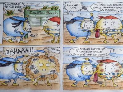 The sand flies