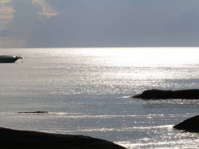 Tot le matin, au reveil...